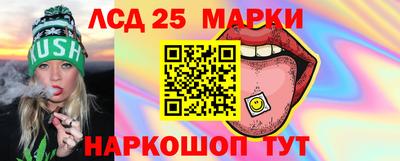 стафф Дубна