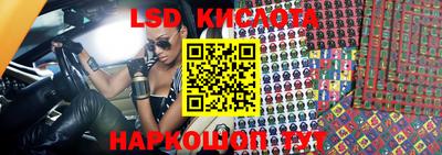 стафф Дубна