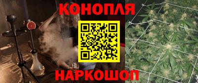 стафф Дубна