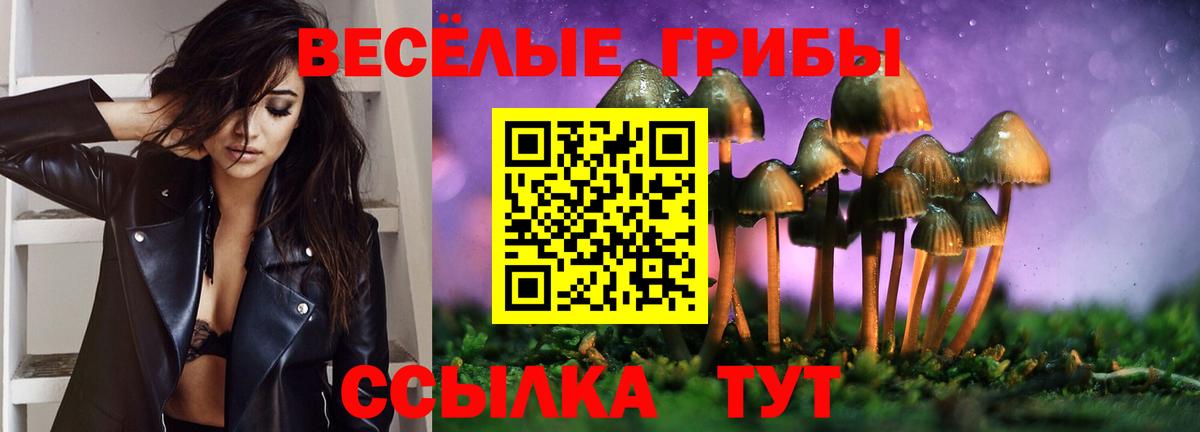 Галлюциногенные грибы мицелий Москва